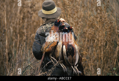 Game Bird Shoot 1985 Royaume-Uni. Tir de Pheasants jeu oiseau Shoot Burley sur la colline Rutland Leicestershire années 1980 Angleterre HOMER SYKES Banque D'Images