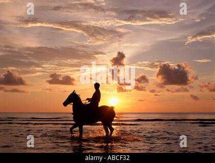 Personne riding horse in sea at sunset Banque D'Images