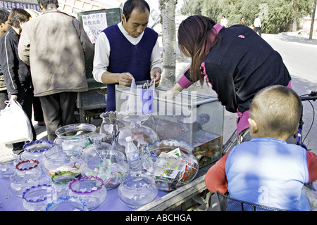 Chine Pékin location vente du vendeur de poissons tropicaux aquariums sur son vélo Banque D'Images