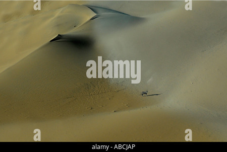 Oryx aérienne en Afrique australe Namibie Kaokoveld dunes Banque D'Images