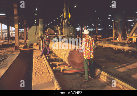 Scierie de la forêt tropicale où l'acajou d'Afrique est transformé en planches, la République du Congo Banque D'Images