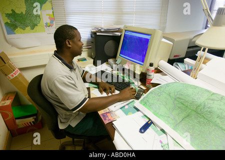 Employée de bureau à scierie dans la République du Congo Banque D'Images