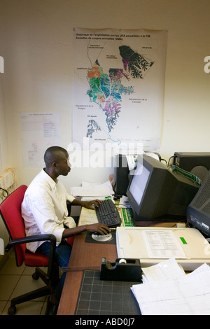 Employée de bureau à scierie dans la République du Congo Banque D'Images