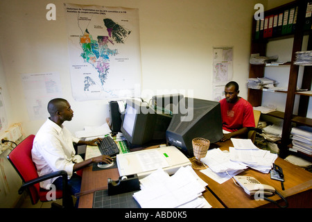 Employée de bureau à scierie dans la République du Congo Banque D'Images