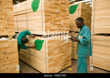 Acajou africain transformés en scierie, République du Congo Banque D'Images