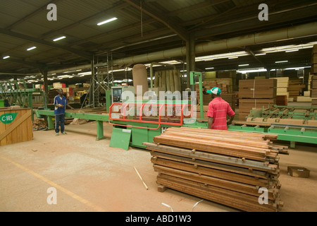 Acajou africain transformés en scierie, République du Congo Banque D'Images