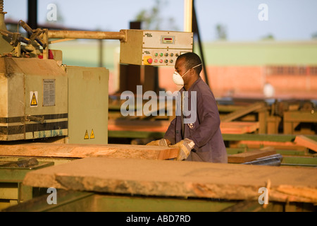 Scierie de la forêt tropicale où l'acajou d'Afrique est transformé en planches, la République du Congo Banque D'Images