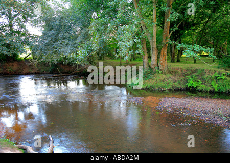 Rivière Lymington Brockenhurst Hampshire Angleterre Grande-bretagne UK Banque D'Images