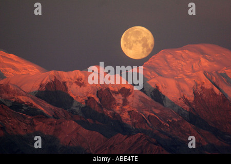 La pleine lune et Mt McKinley, Réflexion Étang Parc National Denali en Alaska Banque D'Images