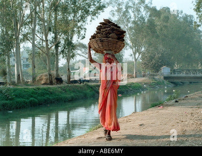 Indian woman carrying dung à être recylce comme combustible Banque D'Images