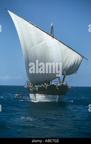 Un grand boutre arabe sous voiles--un fullsize haut de la rampe dans l'eau, voile latine, éminent Banque D'Images