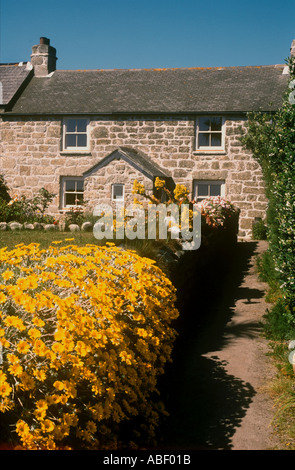 Chalet traditionnel en pierre et jardin sur l'île de Tresco Penzance Cornwall Royaume Uni Banque D'Images