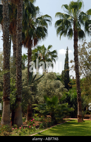Jardins de Dar Ayniwen hotel dans la palmerie, Marrakech, Maroc. Banque D'Images