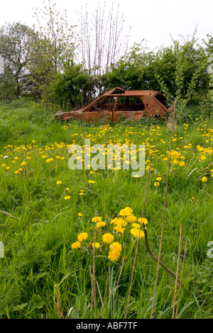 Voiture brûlée dans un champ abandonné les agriculteurs Banque D'Images