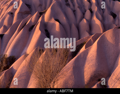 Même le soleil jette une chaude sur le plus de formations rocheuses naturelles uniques près de Urchisar, Cappadoce, Turquie Banque D'Images