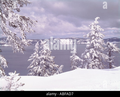 Crater Lake National Park dans l'Oregon lors de fortes chutes de neige de l'hiver après un nouveau revêtement a les arbres Banque D'Images