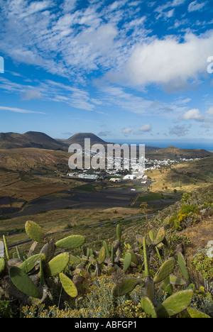 Dh MIRADOR DE HARIA Cactus LANZAROTE village de Haria de vue montagne Banque D'Images