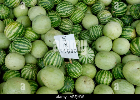 Un stand de fruits en bordure de route propose des pastèques Citrullus sp au prix de 5 pour 1 000 colones près de Jaco Costa Rica Banque D'Images