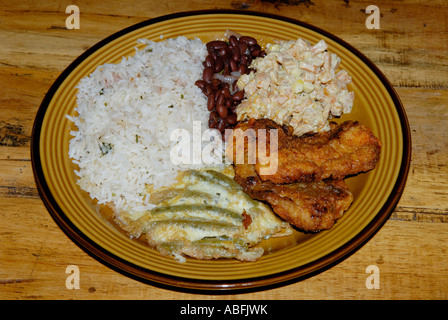 Repas typiques du Costa Rica, comida tipica. La viande, les légumes, le riz et les haricots (gallo pinto) Banque D'Images