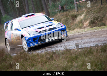 Ford Focus bleu voiture rallye action de conduite à grande vitesse sur la boue et le gravier à travers forêt de pins Banque D'Images