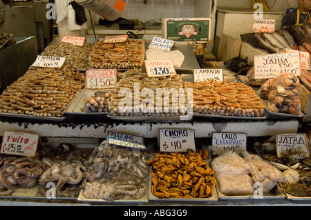 Crevettes fraîches sur le quai d'Ensenada au Mexique Banque D'Images