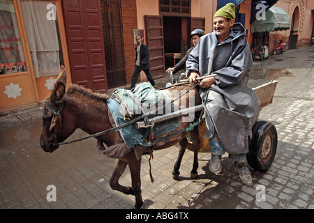 Âne dans la medina, Fes, Maroc Banque D'Images