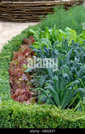 MANGE TOUT. DESIGNER : FRANCESCA CLEARY & IAN LAWRENCE. HAMPTON COURT PALACE FLOWER SHOW 2007 Banque D'Images