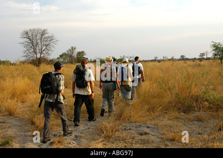 Harcèlement criminel dans la savane africaine, le Botswana Banque D'Images