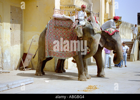 Centre de réservation d'éléphants s'apprête à prendre les touristes jusqu'à Amber Palace dans le Nord de l'Inde Banque D'Images