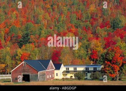 Elk281 1827 New Hampshire région du nord le long de l'autoroute 2 paysage avec des couleurs d'automne Banque D'Images