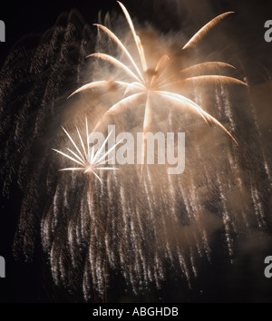 D'artifice dans le ciel de nuit Banque D'Images