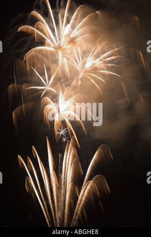 D'artifice dans le ciel de nuit Banque D'Images