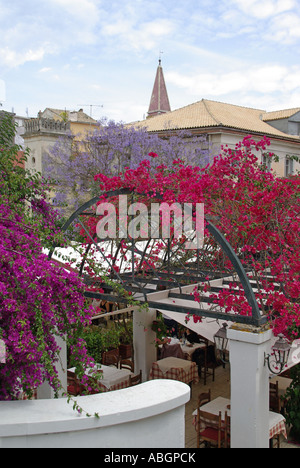 L'île grecque de Corfou Town Hall Square, dans la vieille ville de bougainvillées vignes floral forme couvert au-dessus et autour de manger au restaurant d'affaires ci-dessous en Grèce Banque D'Images