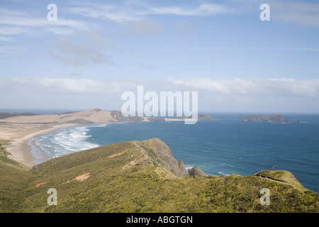 Presqu'AUPORI ÎLE DU NORD Nouvelle-zélande peut regarder sur la belle plage de sable du Cap Maria Van Dieman Banque D'Images