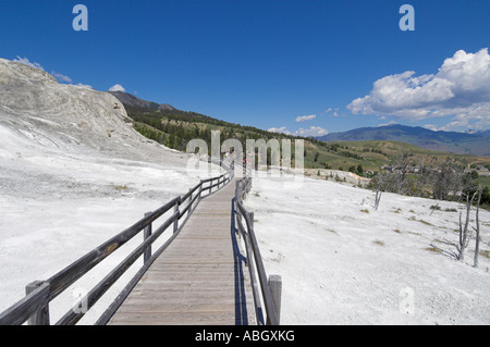 Cleopatra terrasse Mammoth Hot Springs Parc National de Yellowstone au Wyoming USA États-Unis d'Amérique Banque D'Images