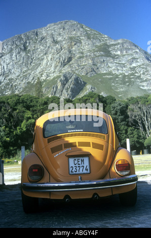 VW Beetle 1600 Orange à Hermanus Grotto Beach avec drapeau bleu à Western Cape Afrique du Sud Banque D'Images