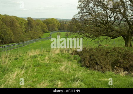 La forêt des singes clôture de périmètre à Trentham Gardens Banque D'Images