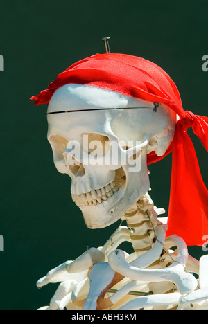 Tête de squelette avec un foulard de Pirate Banque D'Images