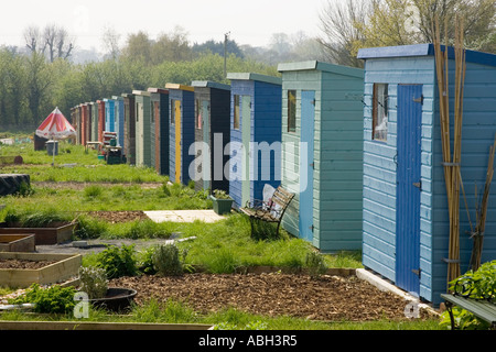 Longue rangée de maisons colorées à l'allotissement gardens at Walsham saules dans le Suffolk, UK Banque D'Images