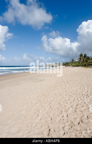 Plage de la côte est près de Barclays Park, Barbade, Petites Antilles, Antilles, Caraïbes Banque D'Images