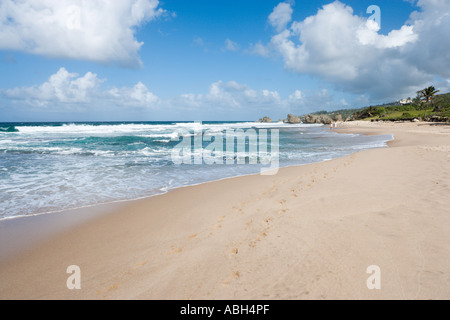 Plage de la côte est près de Barclays Park, Barbade, Petites Antilles, Antilles, Caraïbes Banque D'Images