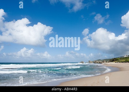 Plage de la côte est près de Barclays Park, Barbade, Petites Antilles, Antilles, Caraïbes Banque D'Images