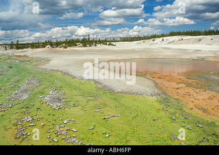 La roue crantée et Whirligig ruissellement geyser Bassin Porcelaine Parc National de Yellowstone au Wyoming USA États-Unis d'Amérique Banque D'Images