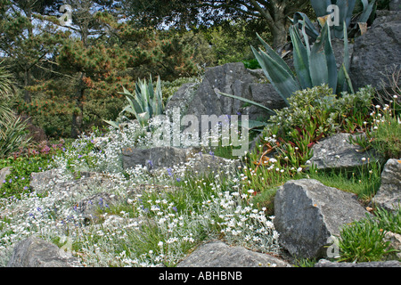 Rocaille en Alum Chine jardins tropicaux, Westbourne, Bournemouth, Dorset, Europe Banque D'Images