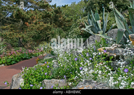 Rocaille en Alum Chine jardins tropicaux, Westbourne, Bournemouth, Dorset, UK. L'Europe Banque D'Images