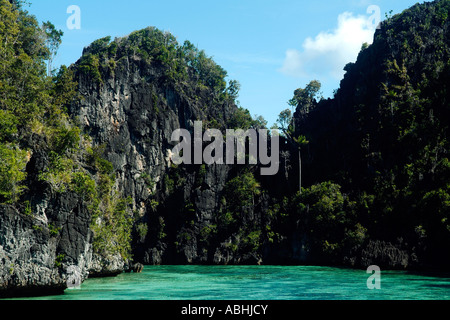 Petite île calcaire dans la région de Raja Ampat, Indonésie Banque D'Images