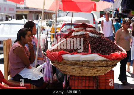 Les femmes vendent les sauterelles frites dans la ville d'Oaxaca au Mexique Chapulines piments Banque D'Images