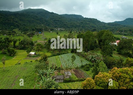 Vue sur la campagne de Sulawesi du Nord Banque D'Images