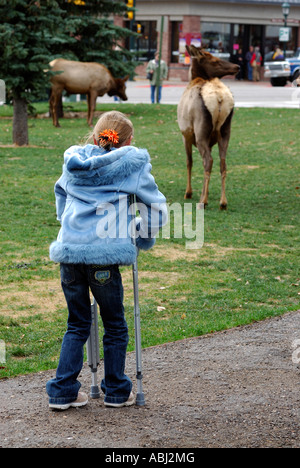 Jeunes Handicapés fille blonde en regardant un wapiti dans Estes Banque D'Images