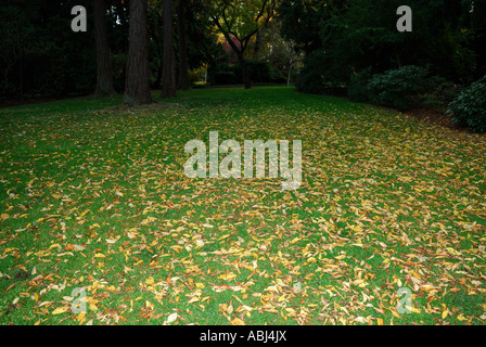 Dans le parc Victoria, île de Vancouver Banque D'Images